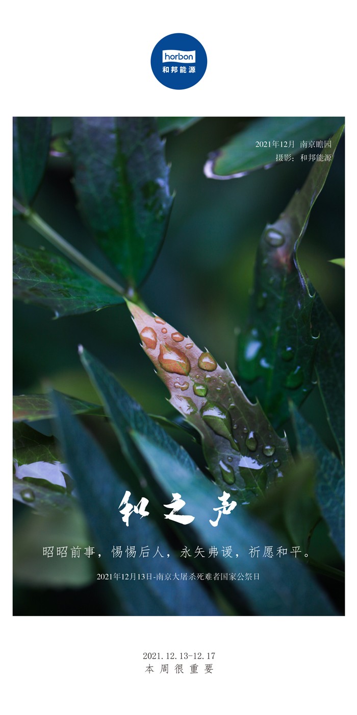 1650781265791601TmsG.jpg 1650781265791601TmsG.jpg