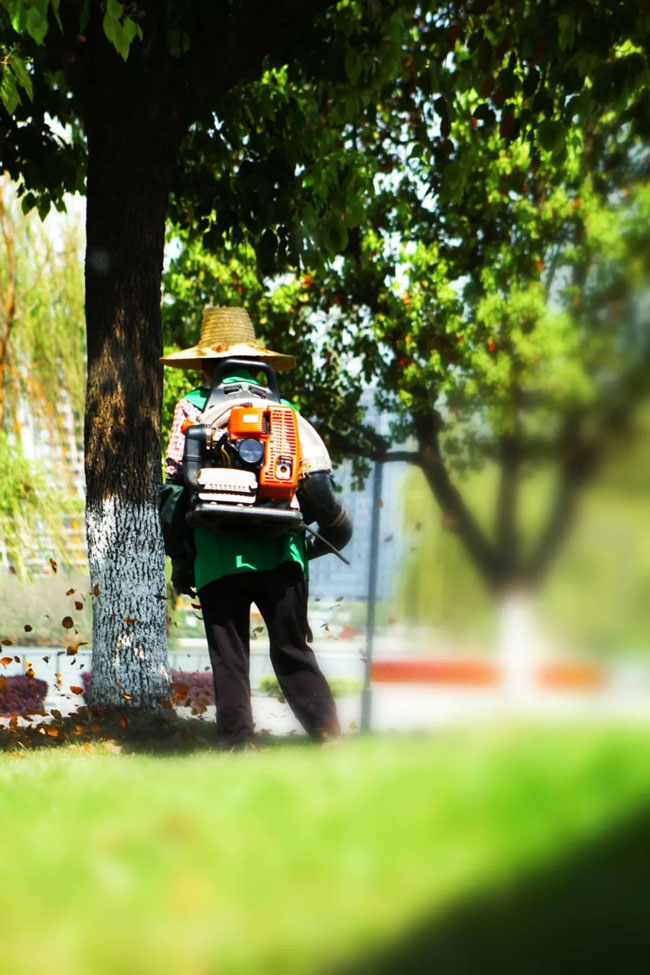 1651905095179420xgWF.jpg 1651905095179420xgWF.jpg