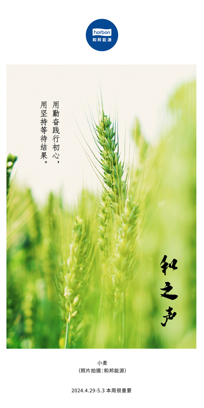 ����֮���������ͼ��г������������������ü���ڴ�Ч���������������������ܵ�132�ڣ�2024.4.29-5���ĸ�С����������.jpg