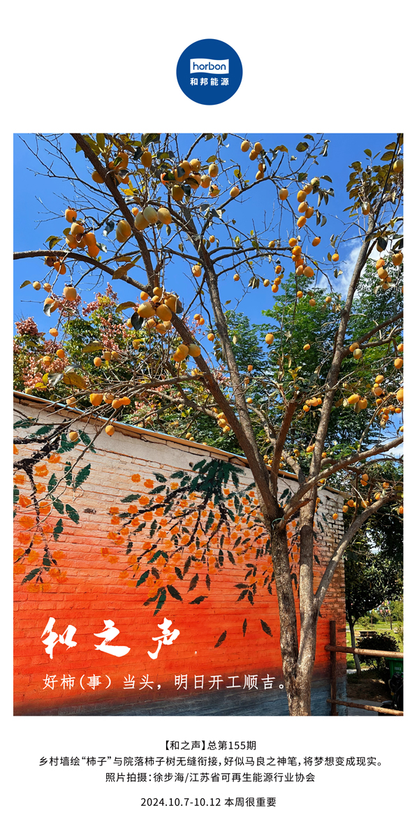 ����֮�����������£���ͷ�������������������տ���˳����-(�ܵ�155�ڣ�-2024.10.7-10���ĸ�С����������.jpg