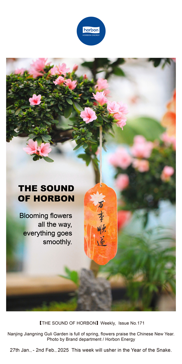 ����֮����(�ܵ�171�ڣ�һ��������������������������˳��������������Ӣ�ĵ�������������.jpg