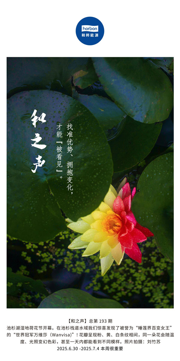 ����֮������׼���ơ�ӵ��ת�����������������Ż�������������������������(�ܵ�193�ڣ�--2025.6���ĵ�������������.jpg