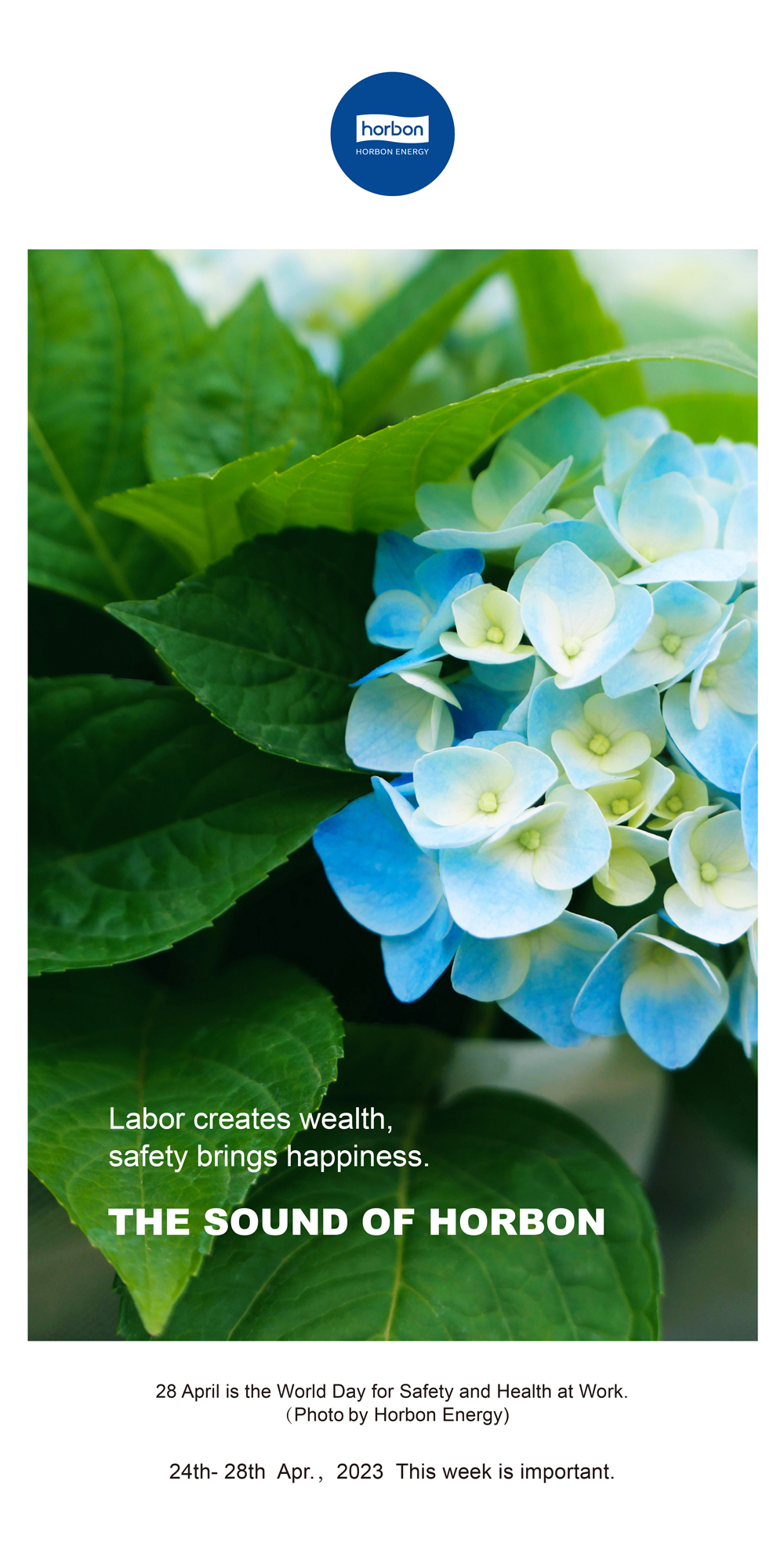 1688365191666448WEGm.jpg 1688365191666448WEGm.jpg