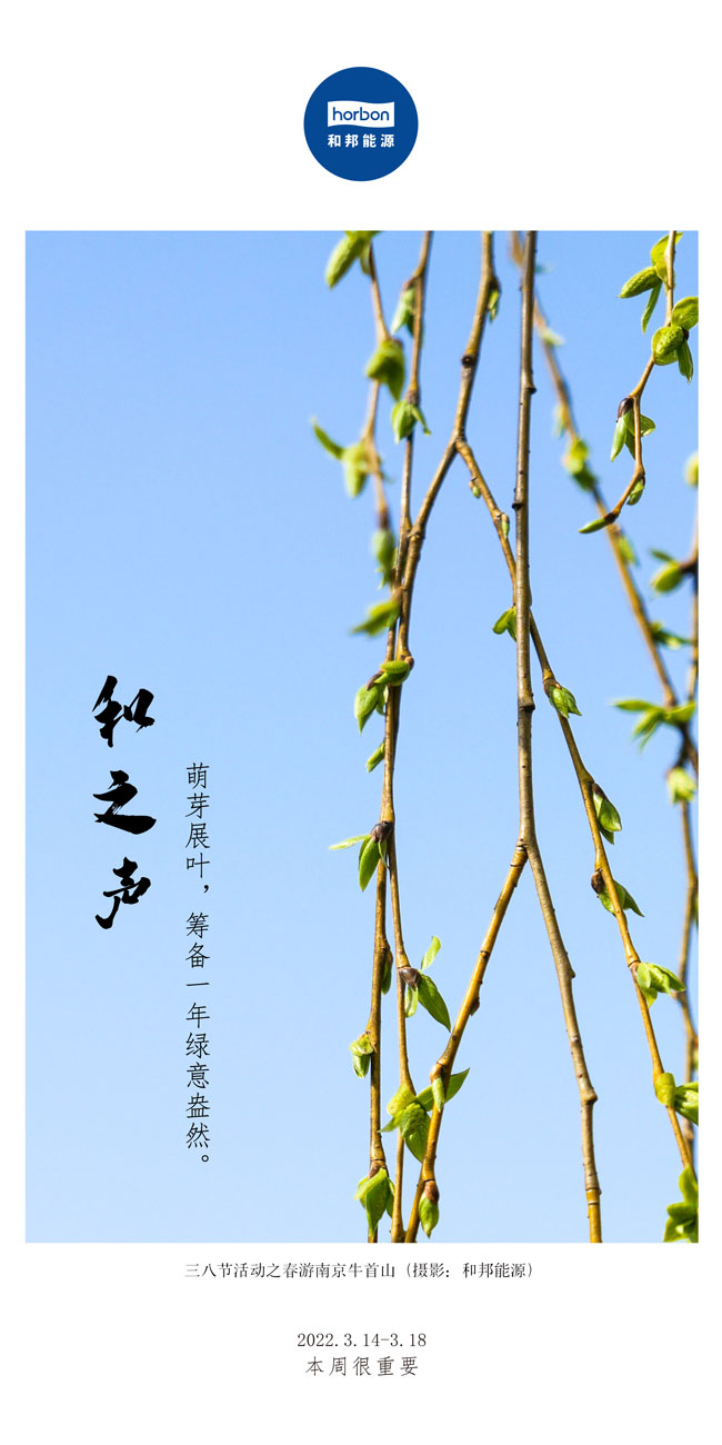 16519101194704945VFM.jpg 16519101194704945VFM.jpg